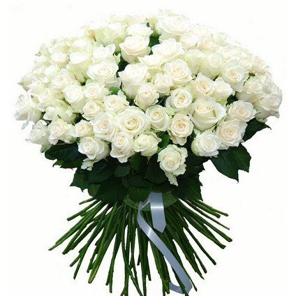 Букет из 101 розы «Белый снег» 70 см