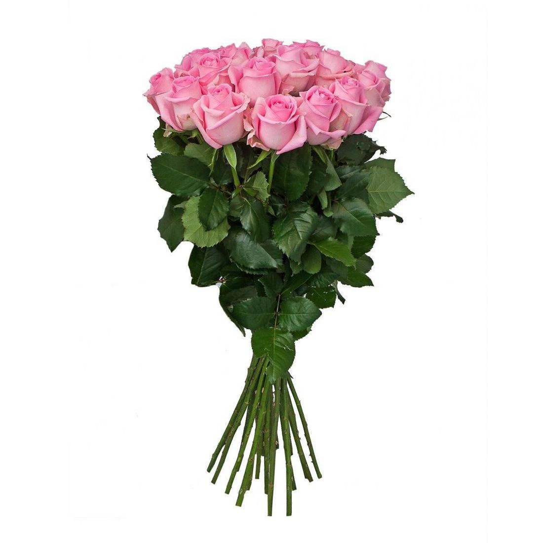Букет из 25 роз «София» 60 см