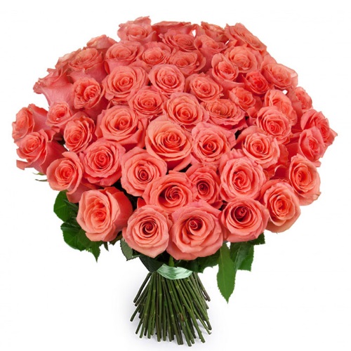 Букет из 51 розы «Винтаж» 50 см