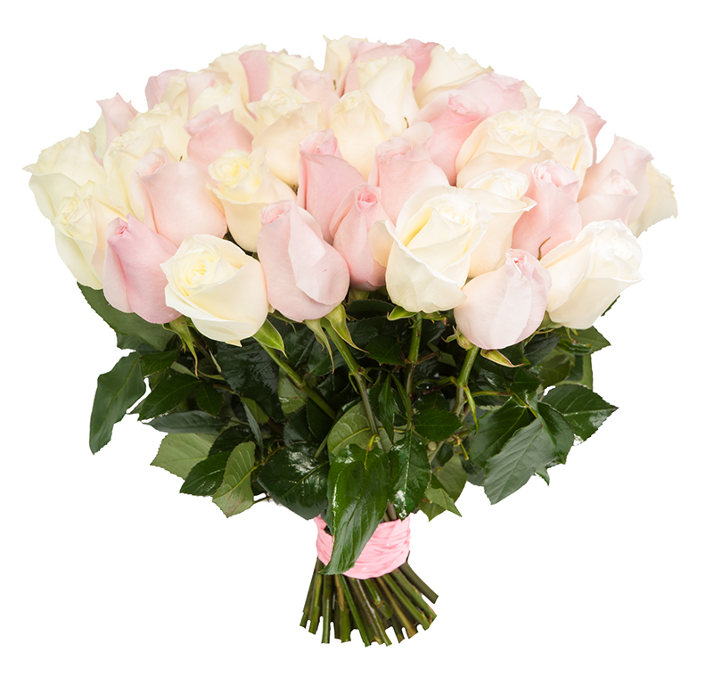 Букет из 35 роз «Спящая красавица»  60 см