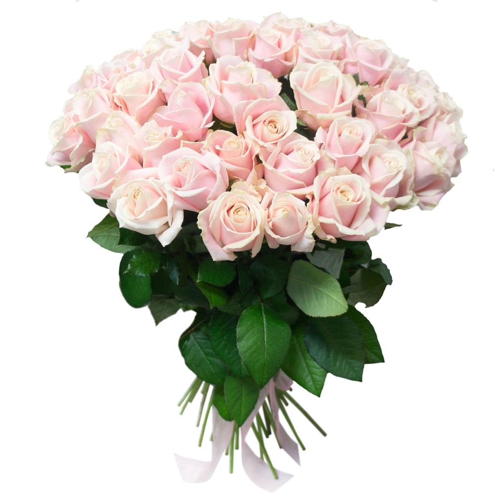 Букет из 51 розы «Васаби» 70 см