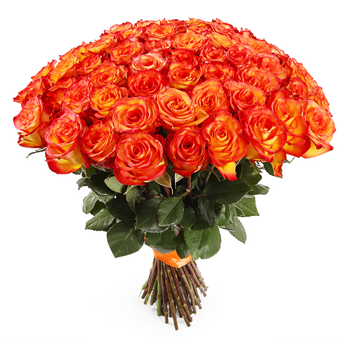 Букет из 51 розы «Оранжевое Небо» 50см