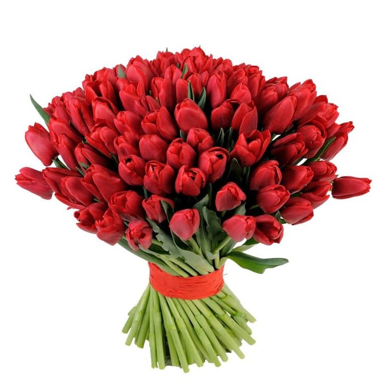 Букет из 101 тюльпана  «Пионер»