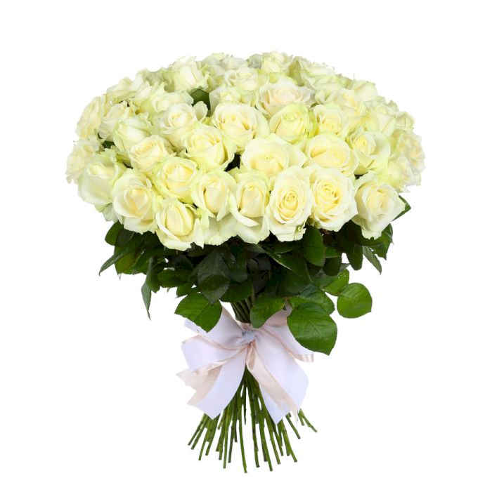 Букет из 51 розы «Невинный» 60 см