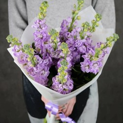 11-sirenevyh-mattiol-900x900-(2)