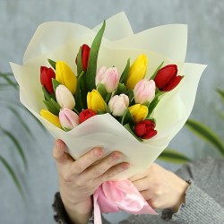 15_tulp_mix_2