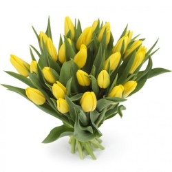 25_tulp_jelt