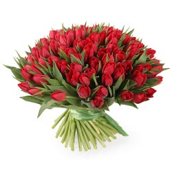 7422a96d1553701e24ead68106955f0d