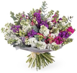 97cf5c2bc054d93cf97d69ba5fc010ae-1100x1100w