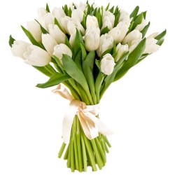 buket_25_bel_tulp