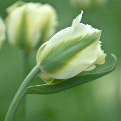 jailbird.ru_0900