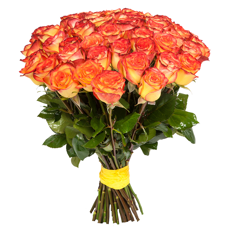 Букет из 35 роз «Рыжик» 50 см
